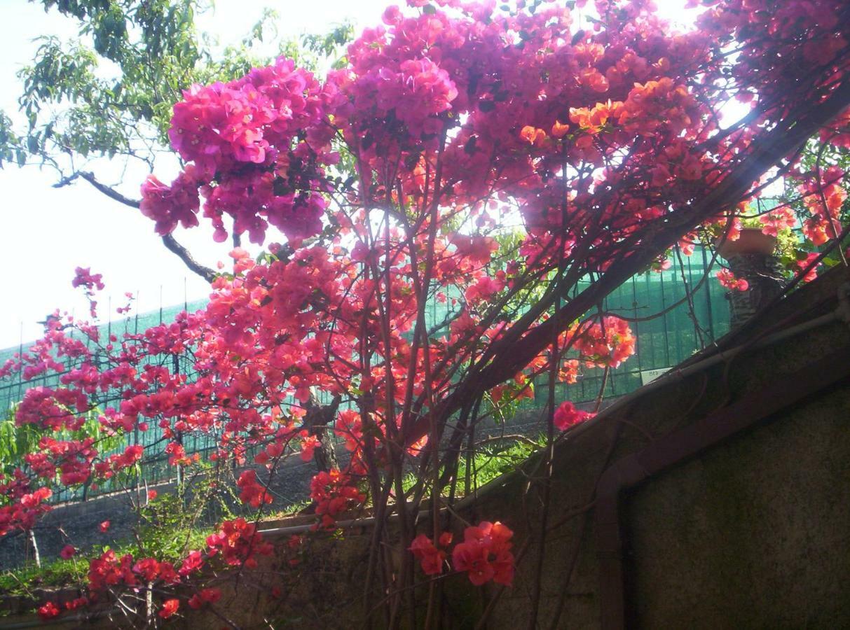 보르디게라 Le Gardenie Da Fil B&B 외부 사진