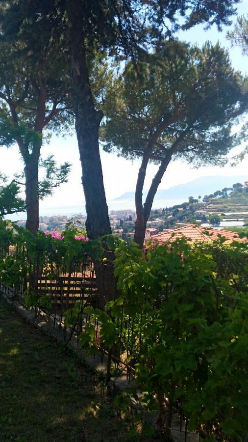 보르디게라 Le Gardenie Da Fil B&B 외부 사진